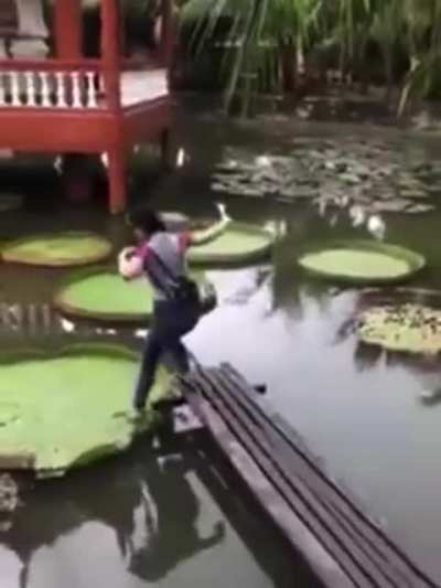 HMC while I fall!
