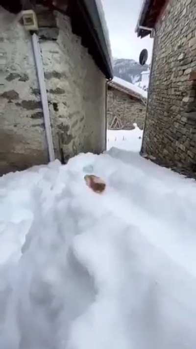 Hey buddy, could you get me a beer.