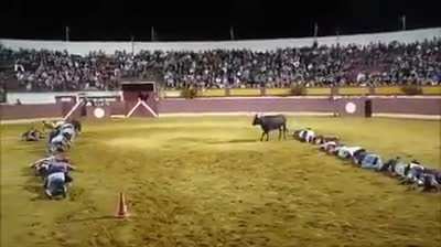 No Bull, No Gain
