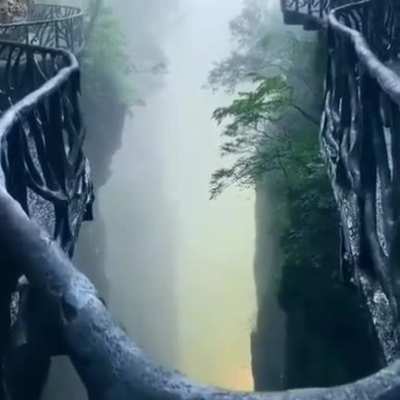 ? Zhangjiajie National Forest Park, China