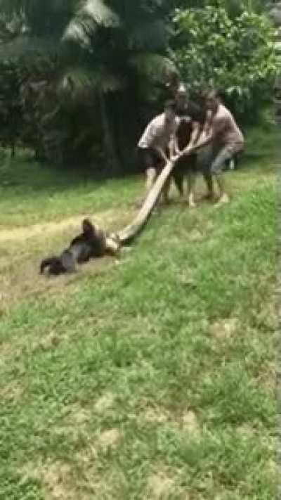 "Mess with my doggo, you get the loggo!"
