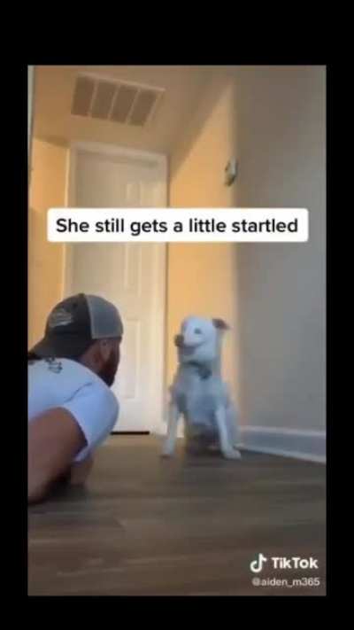 Wholesome 100