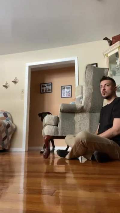 Crazy jealous dog hears kissing and has to get in on the action. Thought I’d put it to the test...
