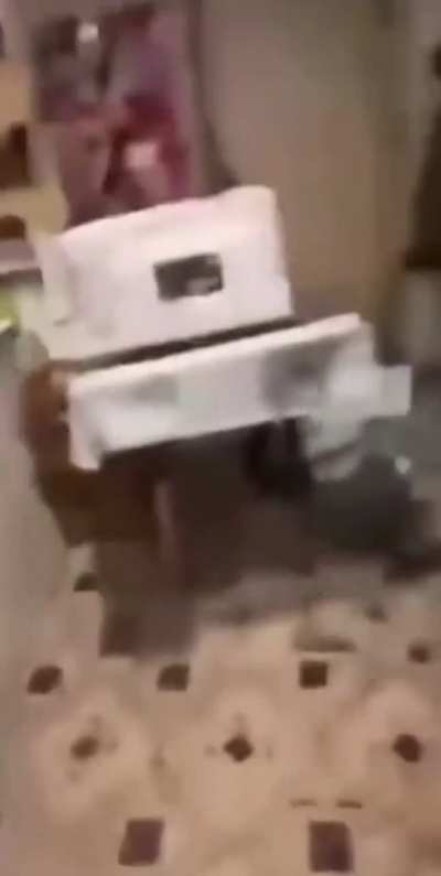 The things men will do to avoid calling an exterminator