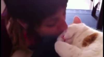 Kisses Activate The Cute. ?