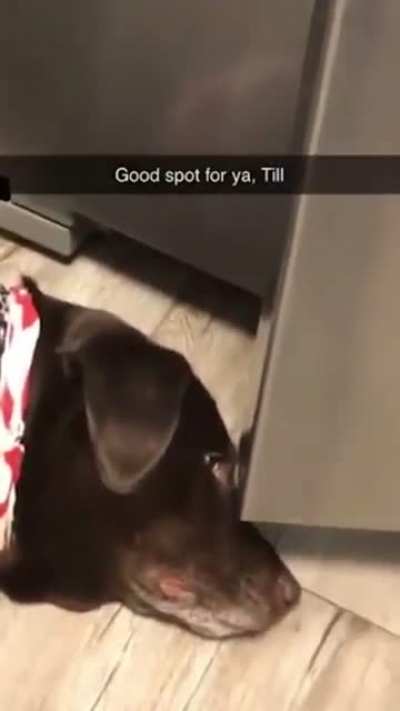 Good spot until...