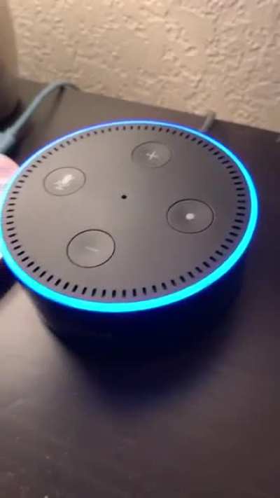 Alexa ??