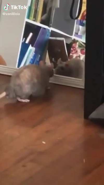 Self-reflection