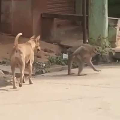 I think they know each other very well