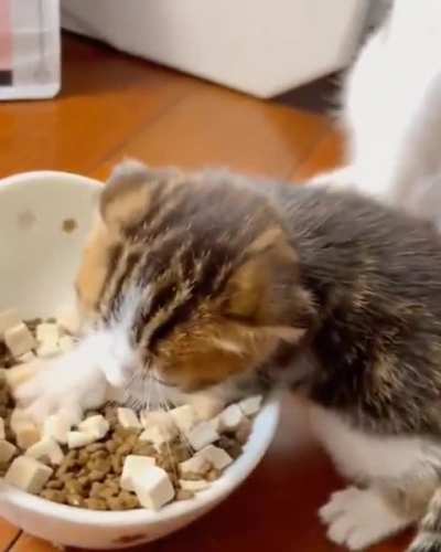 Nooo, it's all mine!!!