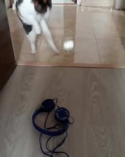 Tap and Twirl