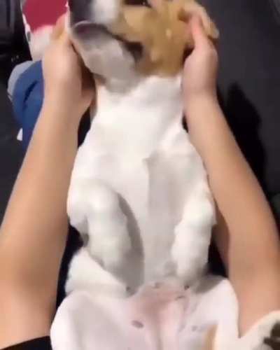 Aww look at those ears ?