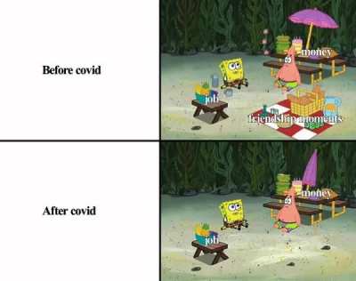 covid in a nutshell
