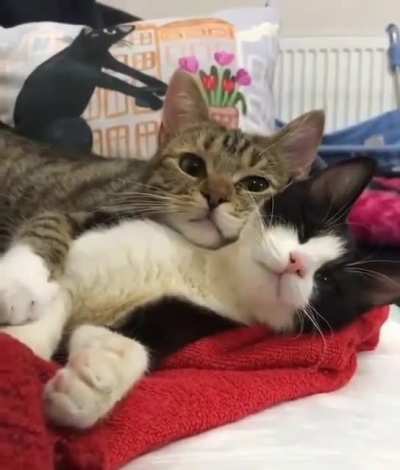 it could be us?
