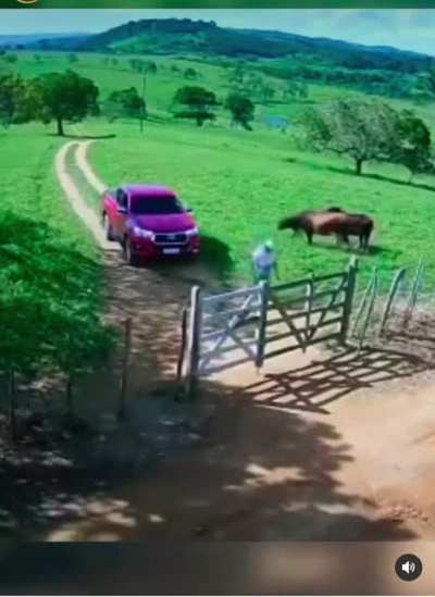 Wait for it..