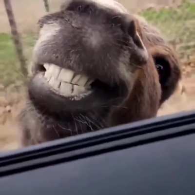Oh hey there