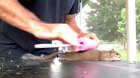 This squirrel loves getting massages