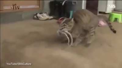 "Fuc*, get it off"