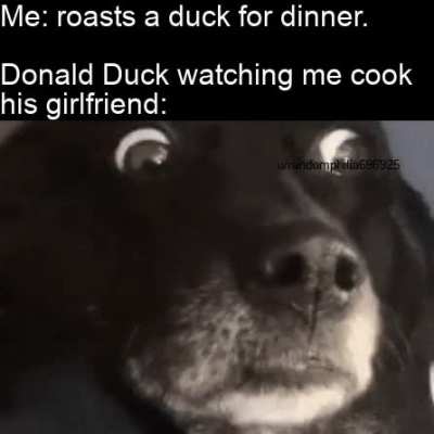 Donald is now single lol