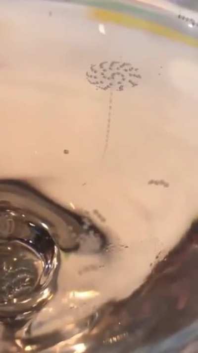 Champagne Bubbles