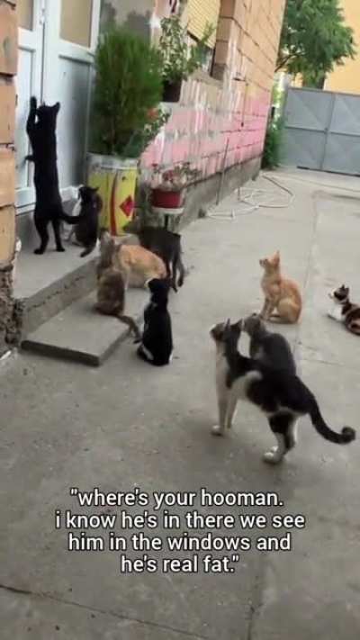 "Hand him to us !!"