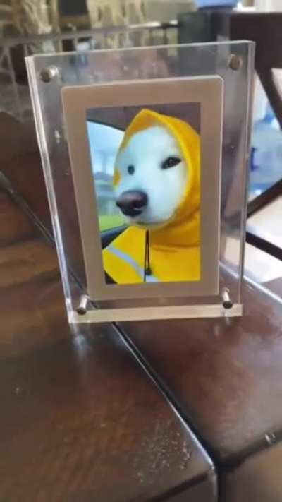 ?