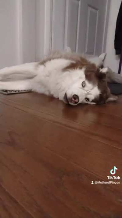 My special boi. ??