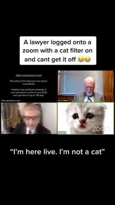 I’m not a cat