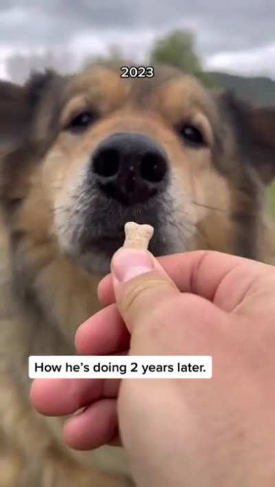 He just needed someone to love him. ?