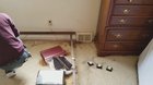 A very serious Bed Bug Infestation [1080p]