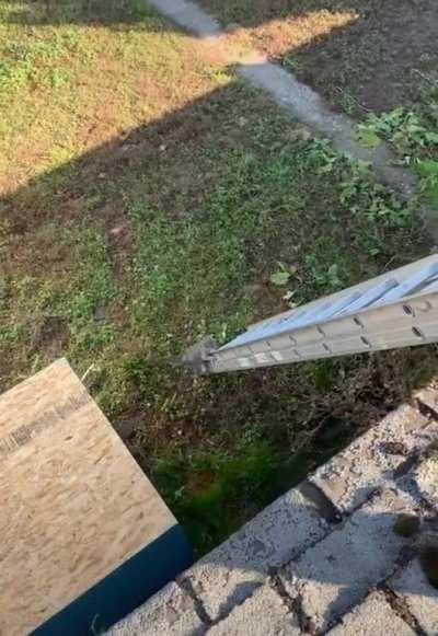 Roofer