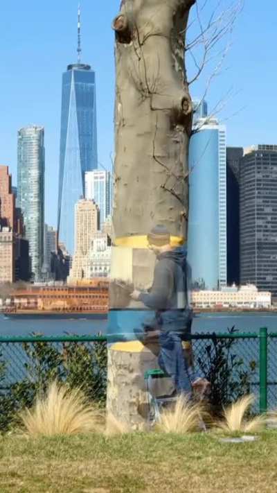 Illusion Art..