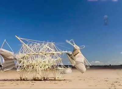 Walking structure