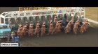 Petition to end horse racing for this.