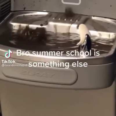 I don’t think you should drink that water