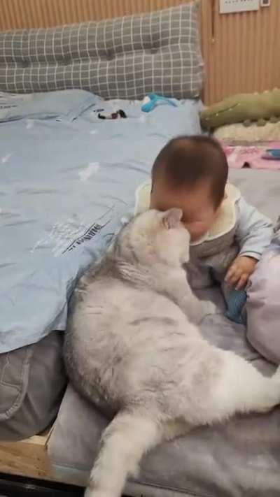 Best pals ?