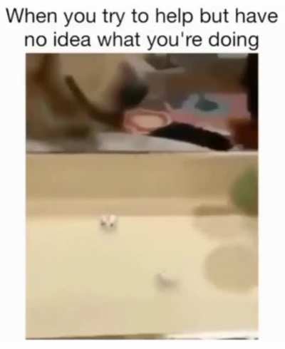 Will this work?