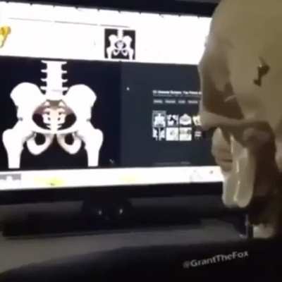 Title v6