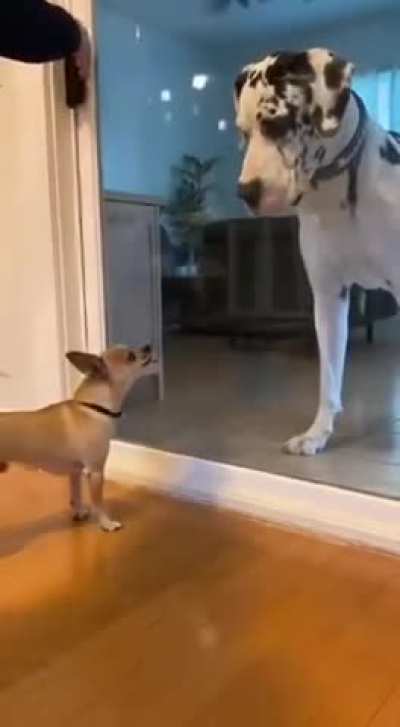 Acting brave behind closed door ????