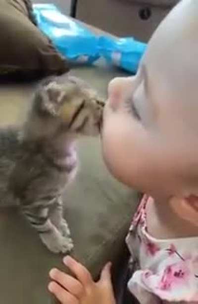 I love how tender this baby is with this kitten, kudos parents! ?
