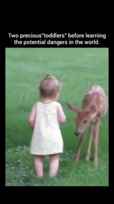 Kid loves kid