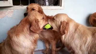Ok...I am next in line