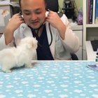 Doggo gets a check