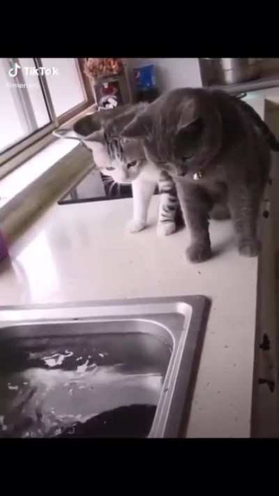Natural predator