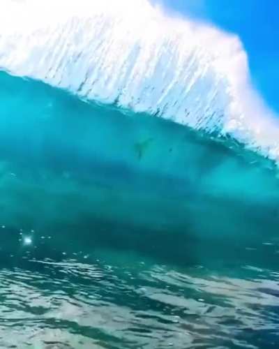 Crystal clear water