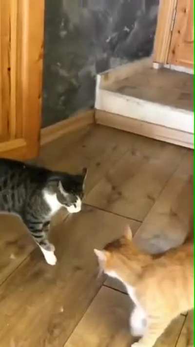 I barely even touched you...