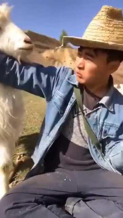 Josh, it's my lunch you already ate.