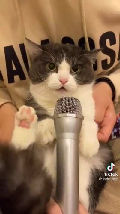 BIG yell