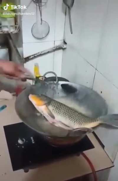 Fresh