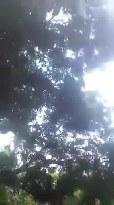 What goes up, comes down
